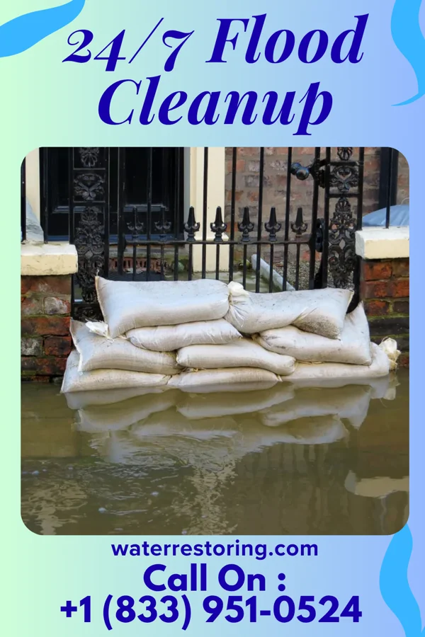 24/7 Flood Cleanup in Petronila, TX