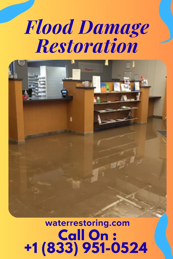 Flood Damage Restoration in Petronila, TX